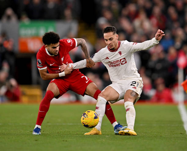 无畏的赤子 无畏的赤子