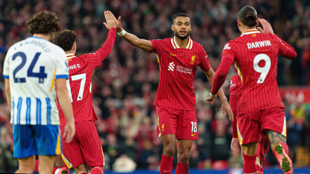 辽宁队在弗 辽宁队在弗